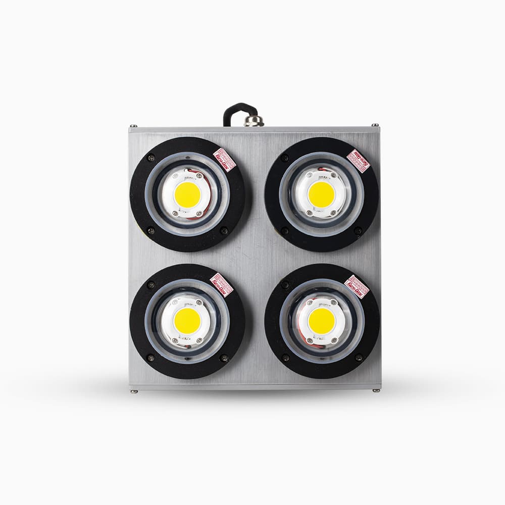 Đèn LED đánh cá DC08 500W COB
