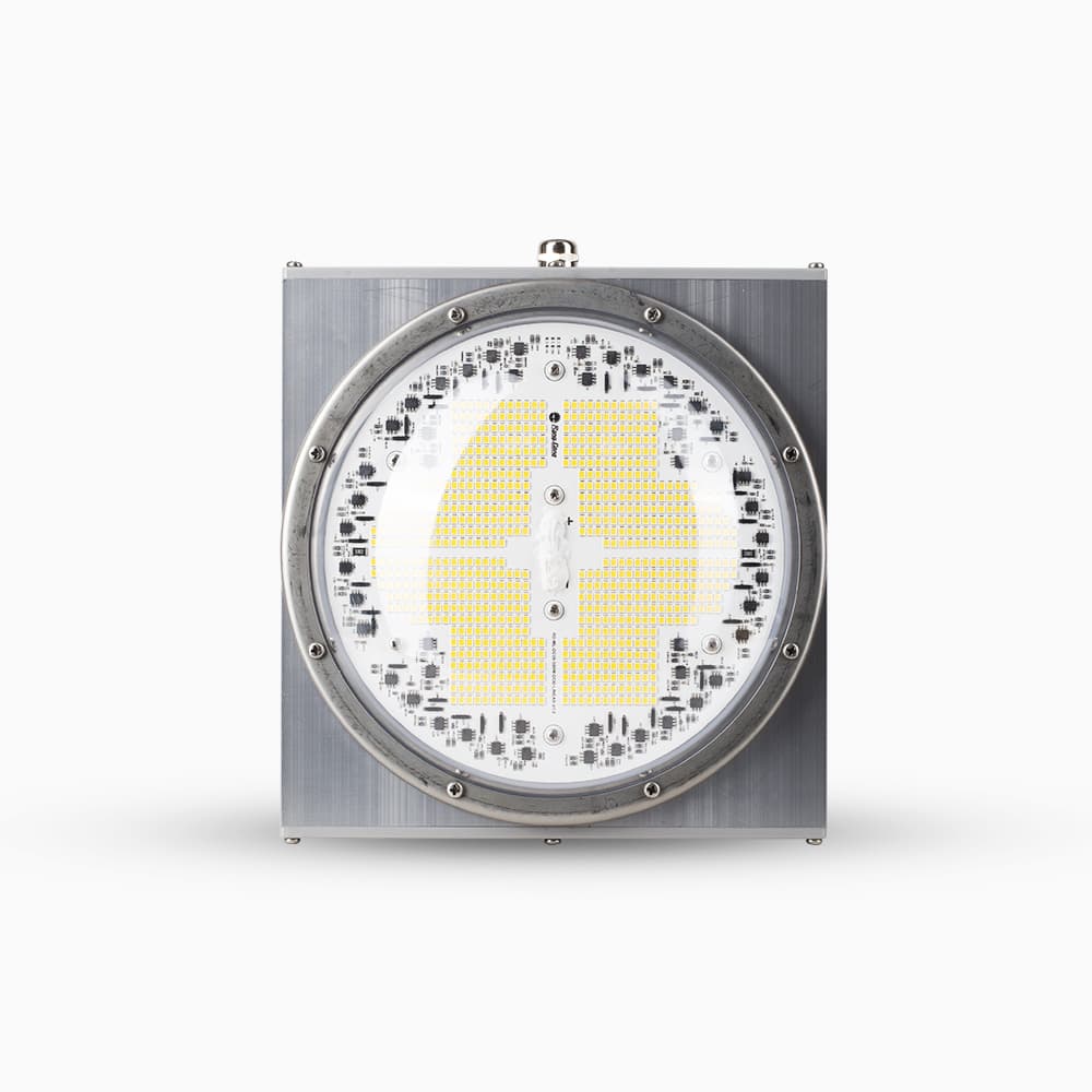 Đèn LED đánh cá DC08 500W AC-IC